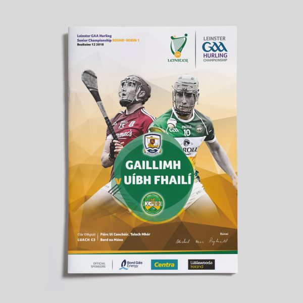 2018 Leinster GAA Hurling Senior Championship Round 1 - Galway v Offaly