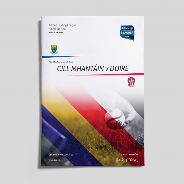 2019 Allianz Hurling League Roinn 2B Final - Wicklow v Derry