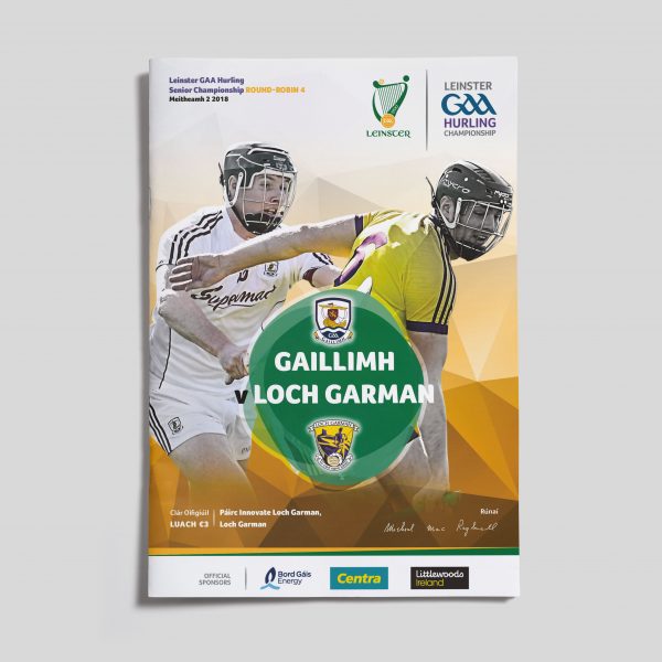 2018 Leinster GAA Hurling Senior Championship Round 4 - Galway v Wexford
