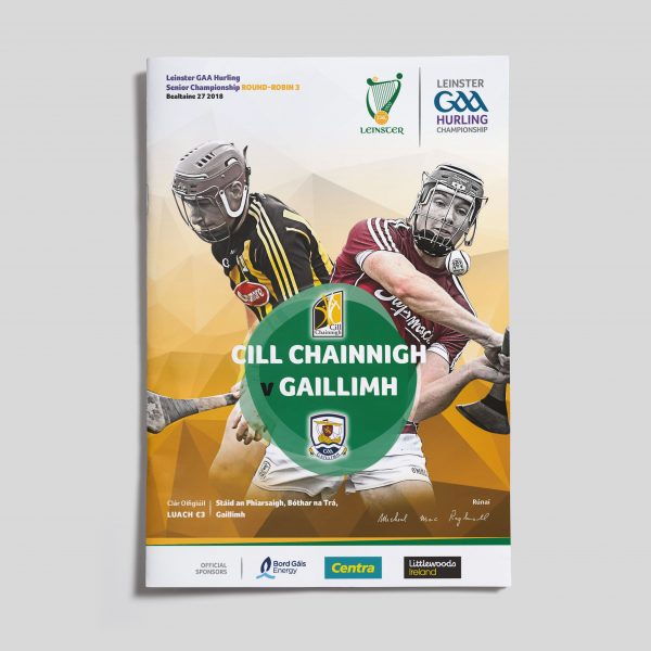 2018 Leinster GAA Hurling Senior Championship Round 3 - Kilkenny v Galway