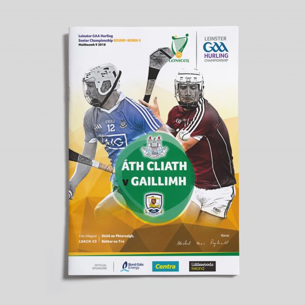 2018 Leinster GAA Hurling Round 5 - Dublin v Galway