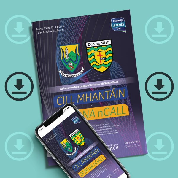 2023 Allianz Hurling League Division 2B Semi-Final - Wicklow v Donegal (DOWNLOAD)