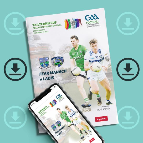 2023 Tailteann Cup Prelim Quarter Final - Fermanagh v Laois (DOWNLOAD)