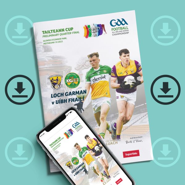 2023 Tailteann Cup Prelim Quarter Final - Wexford v Offaly (DOWNLOAD)