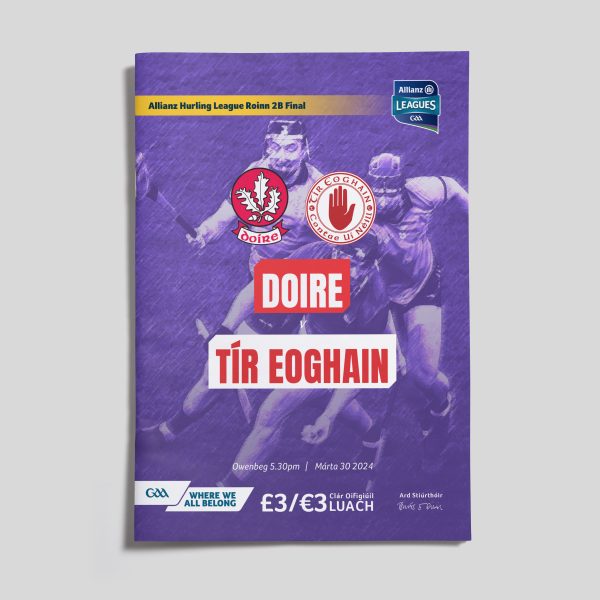 2024 Allianz Hurling League Division 2B Final