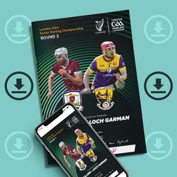 2024 Leinster GAA Hurling Senior Championship Round 3 - Wexford v Galway (DOWNLOAD)