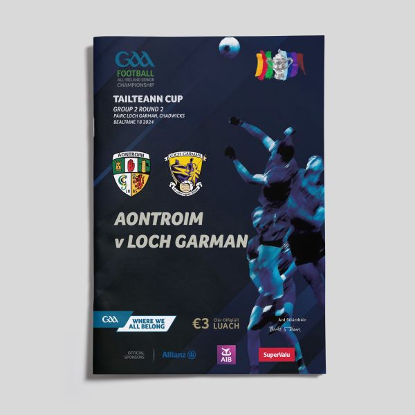 2024 GAA Tailteann Cup Round 2 - Wexford v Antrim