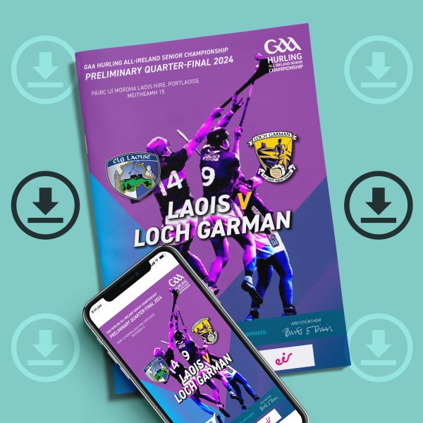 2024 GAA Hurling All-Ireland Preliminary Quarter-Final - Laois v Wexford (DOWNLOAD)