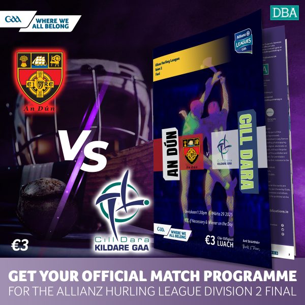 2025 Allianz Hurling League Division 2 Final