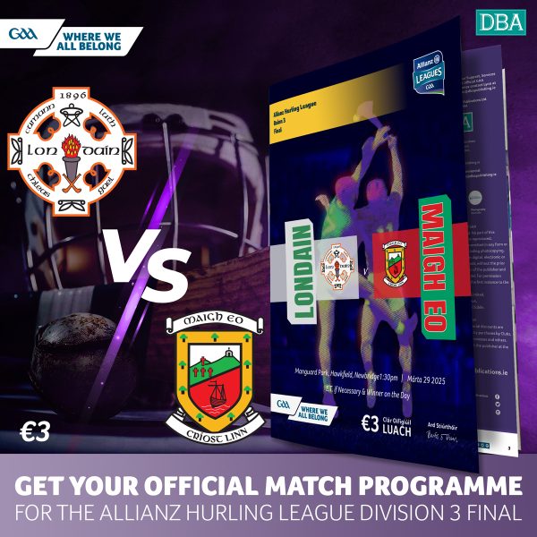2025 Allianz Hurling League Division 3 Final